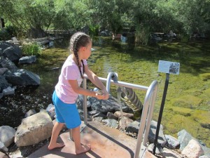 10643169_10205035893000909_1258993591_n