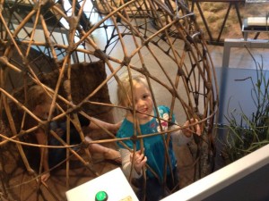 10660205_590738927696720_3786304666696021002_n