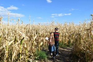 10703752_1547400152140512_3833314744205400440_n