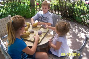 1479301_809100292484165_7449640297533353272_n