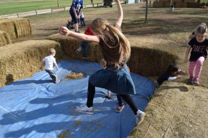 1620487_1547400268807167_6110810273977361364_n